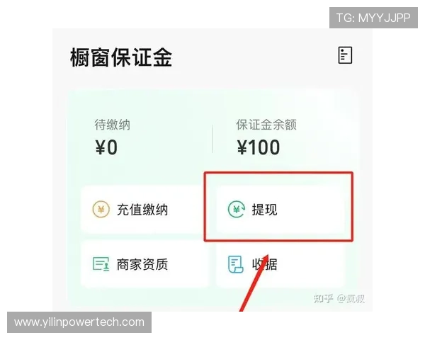 凯发k8一触即发：高效充值与提现流程操作指南帮助玩家快速入门